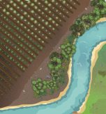 Riparian_Forest_New_compressed