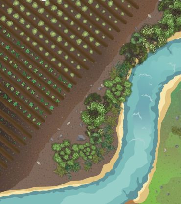 Riparian_Forest_New_compressed