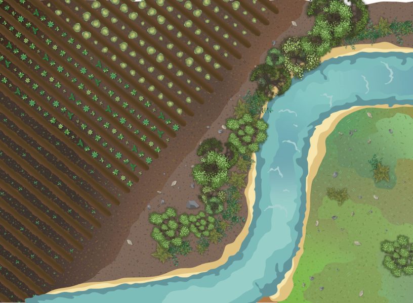 Riparian_Forest_New_compressed