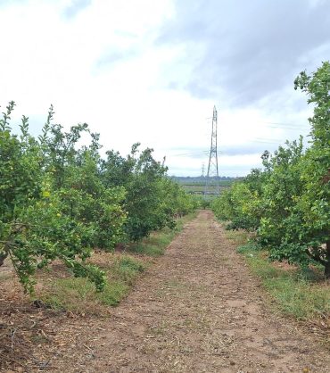 TimePhoto_20250930_122353_resizedTouse