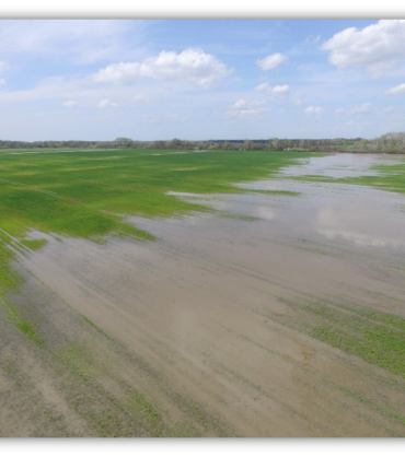 Excess surface water