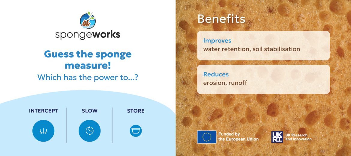 Sponge Cards: a fun way to get acquainted with sponge measures ...