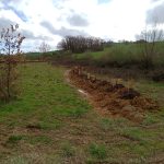 IMG_20260312_152242_530