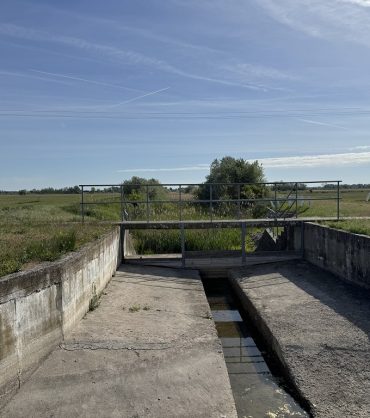River Bridge